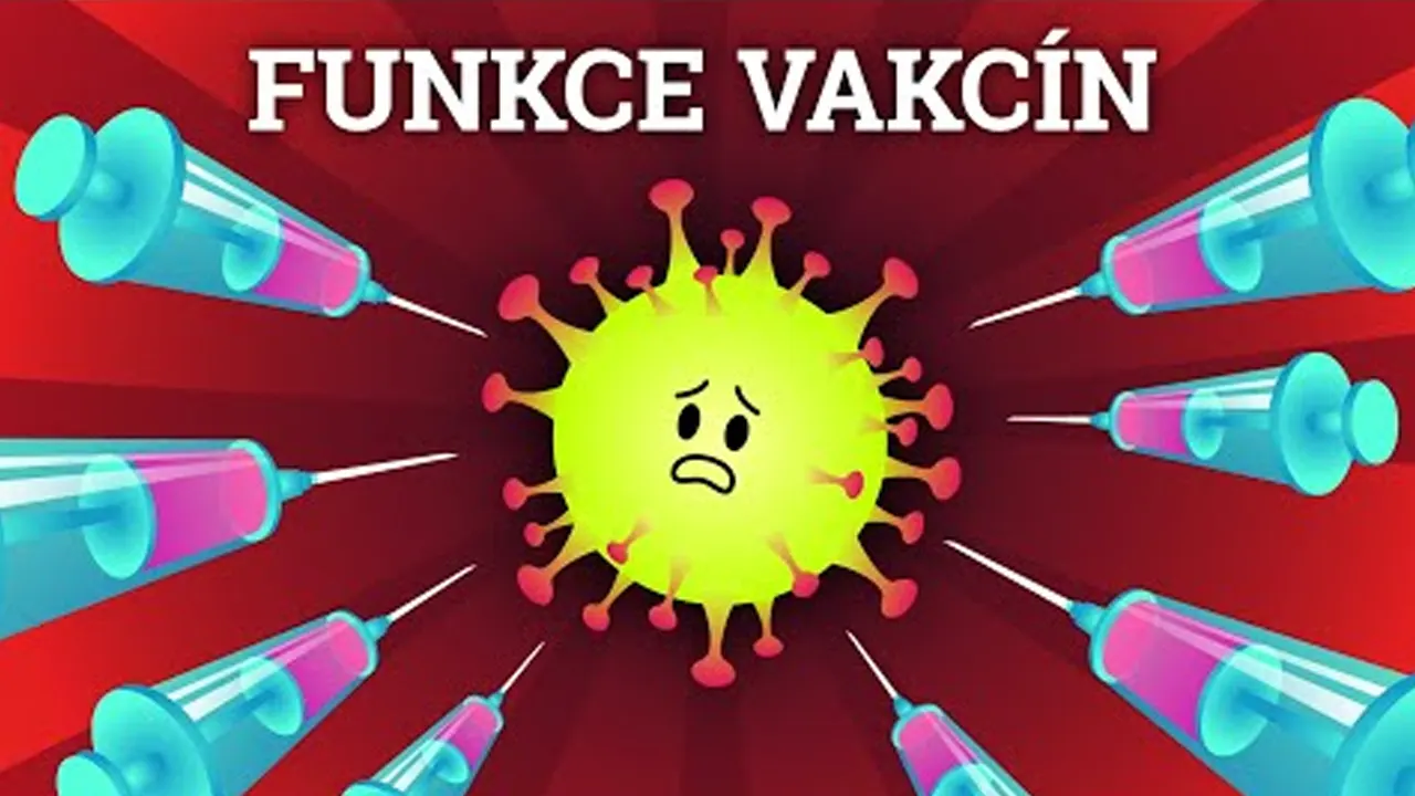 Jak fungují covidové vakcíny? Všechno o covidu #6